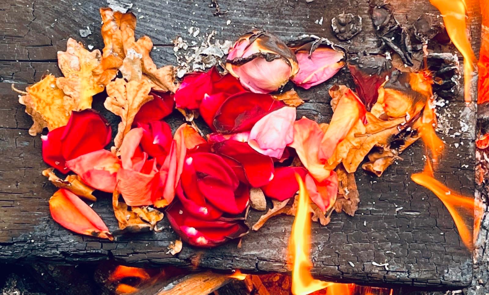 Feuer und Blumen auf einem Stück Holz